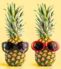 Gwen Montoya Marketing logo. This is a picture of two pineapples wearing sunglasses - one pair is tortoise shell, and the other is red. Visit https://www.gwenmontoya.com/ for more information.